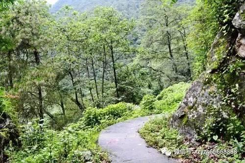 寂静岭：暴雨