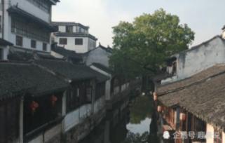救援鹦鹉